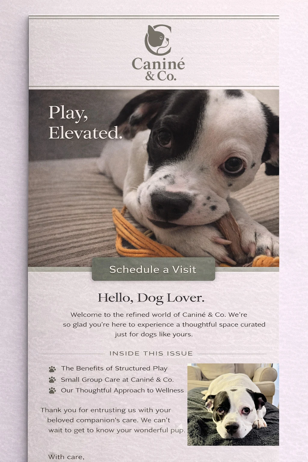Newsletter concept