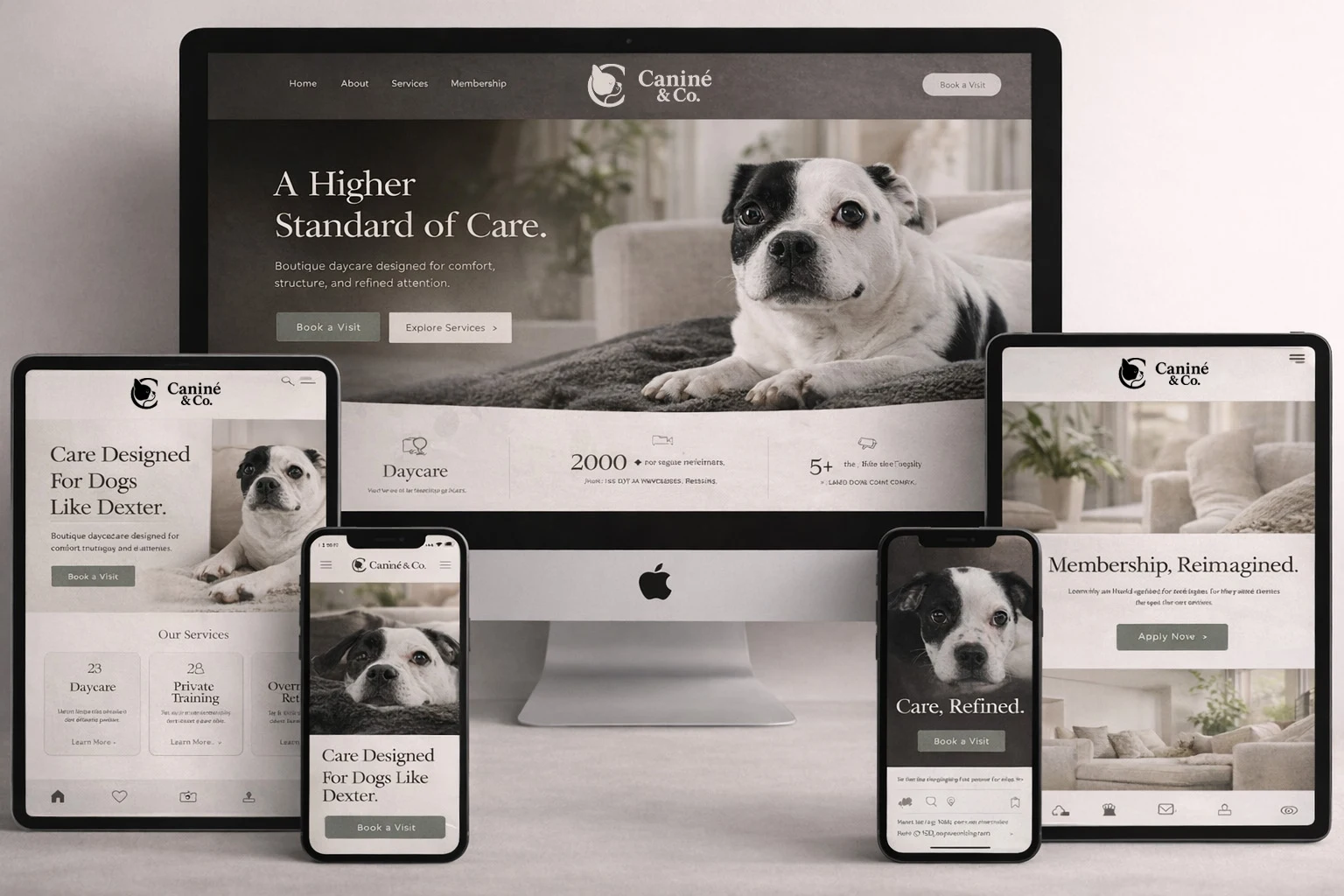 Caniné & Co. website concept presented across desktop, tablet and mobile