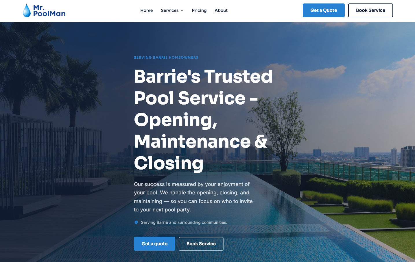 Mr. Poolman website preview